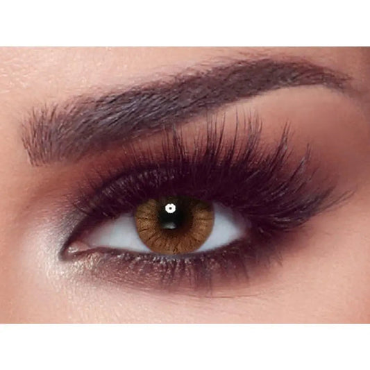 Bella Contact Lenses One Day Hazel Honey 10's Bella