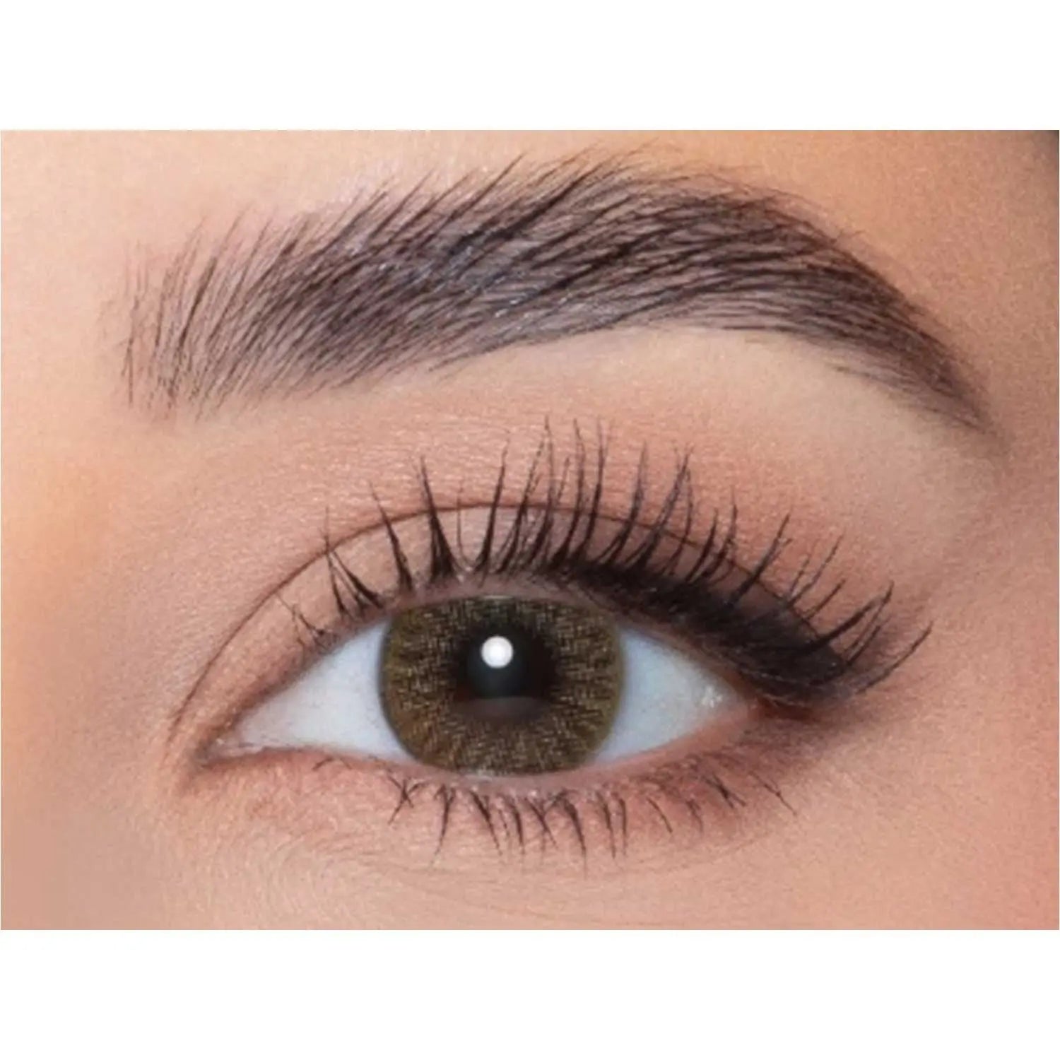 Bella Diamond Brown Plano Pair of Lenses Bella